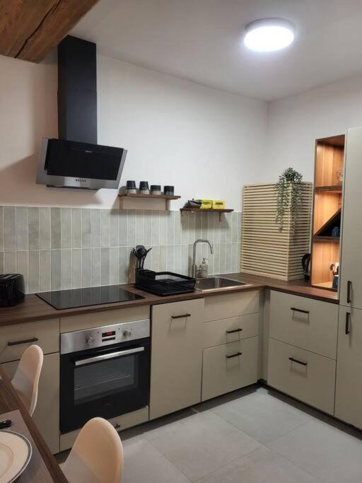 O Bon'Endroit - Appartement Confort - Centre Ville Vienne  Eksteriør billede